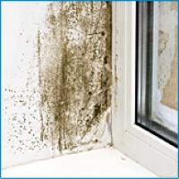 Solutions for Moisture on Windows